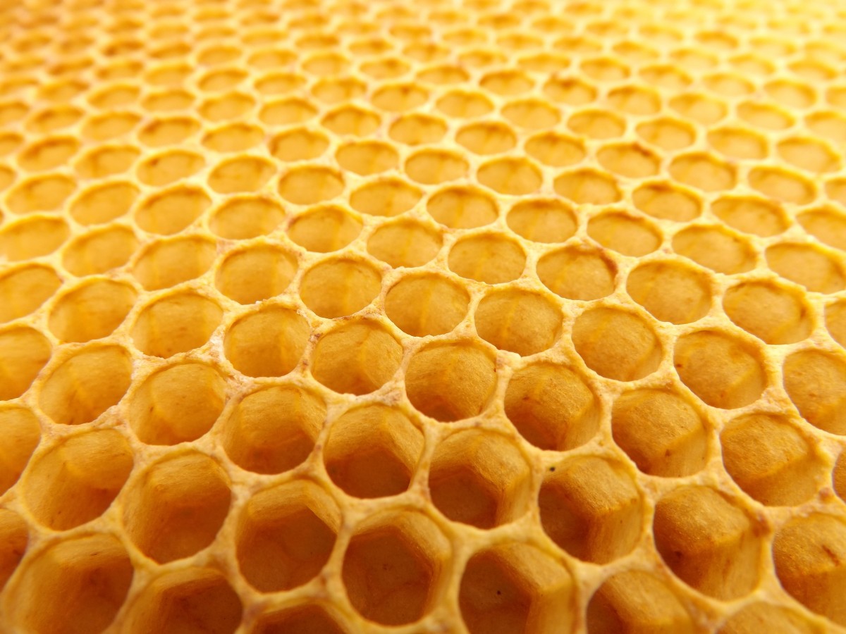 honeycomb_beekeeping_beehive-923608.jpg!d.jpeg